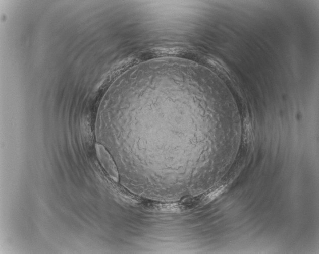X0000058830377200509301227