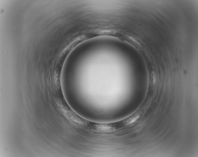 X0000058830380200509301227