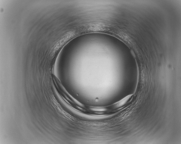 X0000058830393200509301226