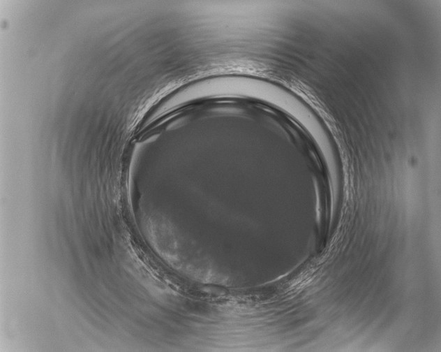 X0000058830434200509301224