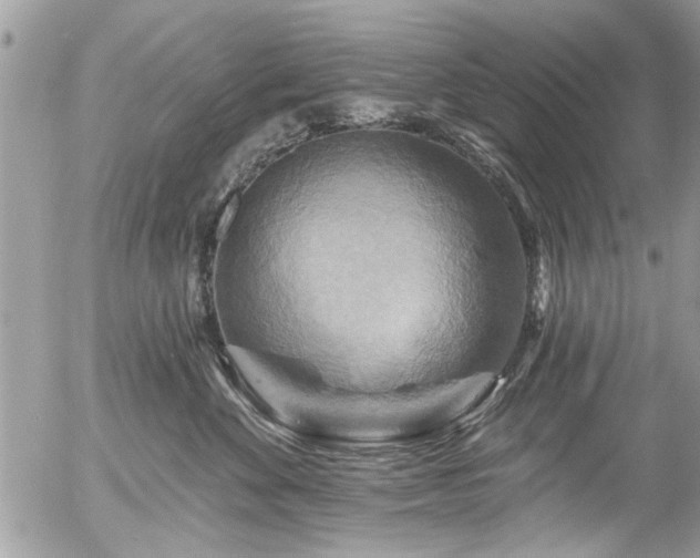 X0000058830524200509301224