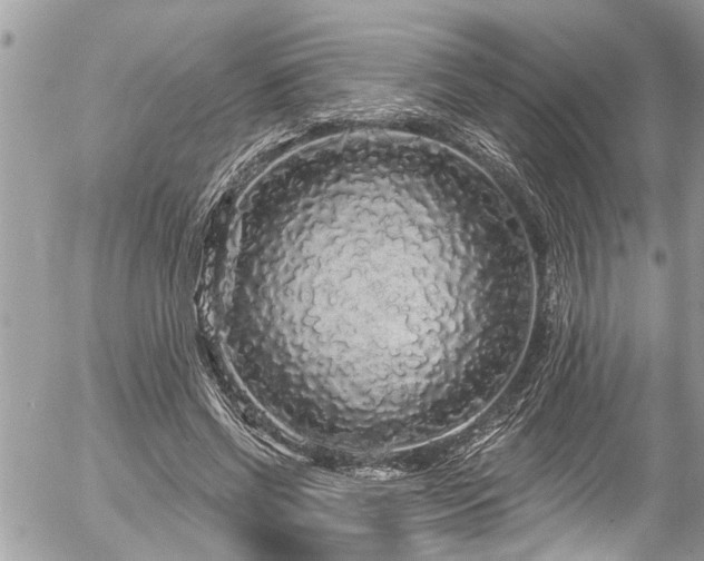 X0000058830542200509301223