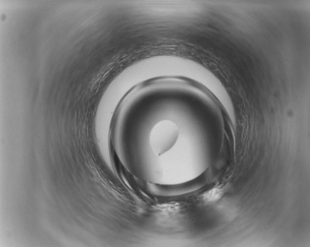 X0000058830750200509301220
