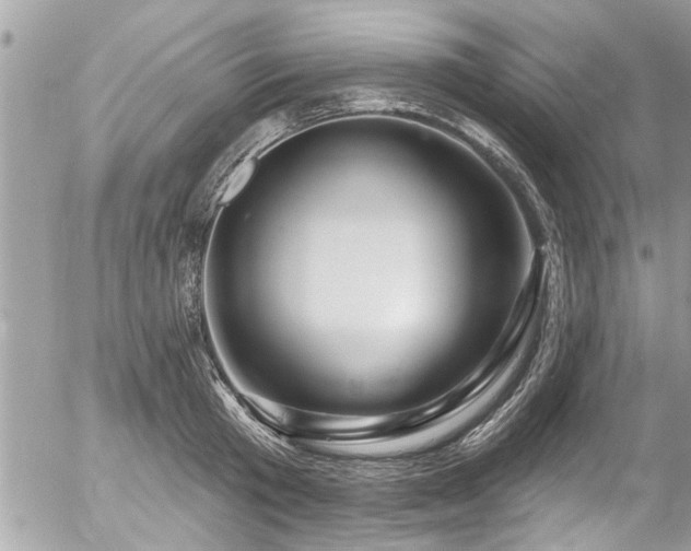 X0000058830801200509301219