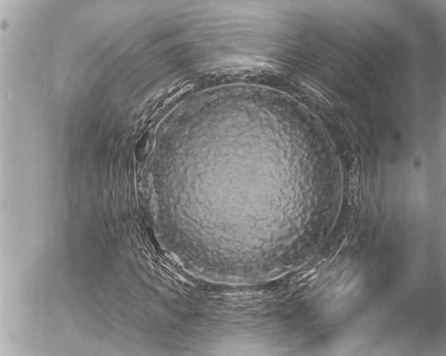 X0000058830917200509301216