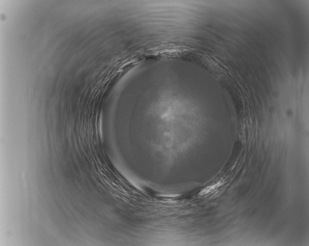 X0000058831010200509301215