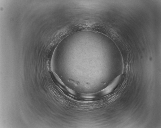 X0000058831156200509301213