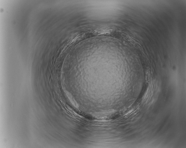 X0000058831393200509301208