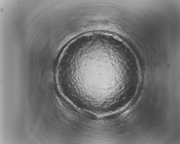 X0000058831505200509301207
