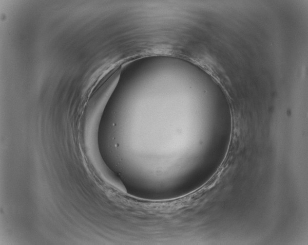 X0000058830001200510031359