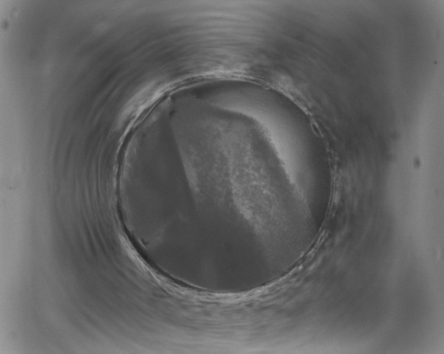 X0000058830002200510031359