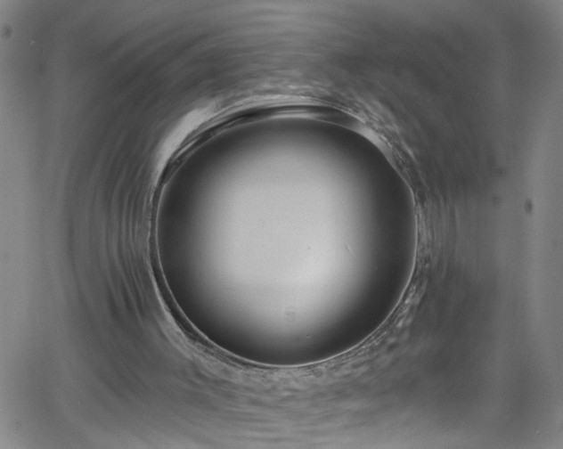 X0000058830003200510031359