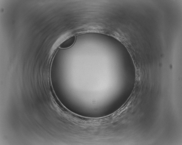 X0000058830004200510031359