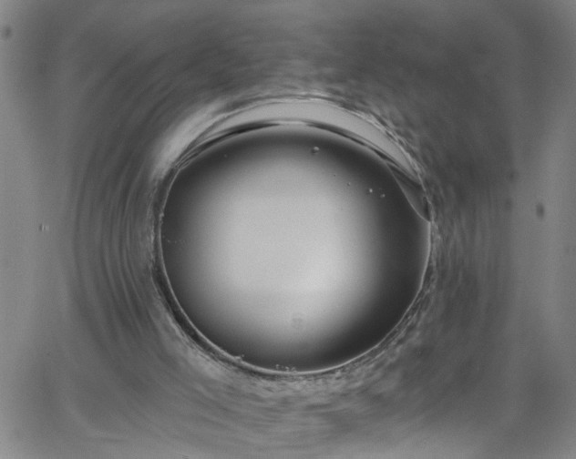 X0000058830005200510031359