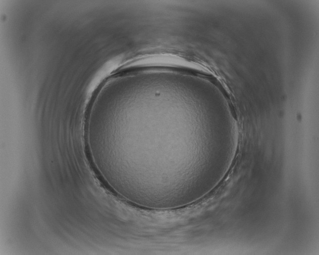 X0000058830006200510031359