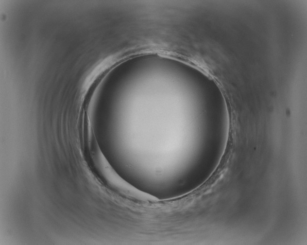 X0000058830007200510031359