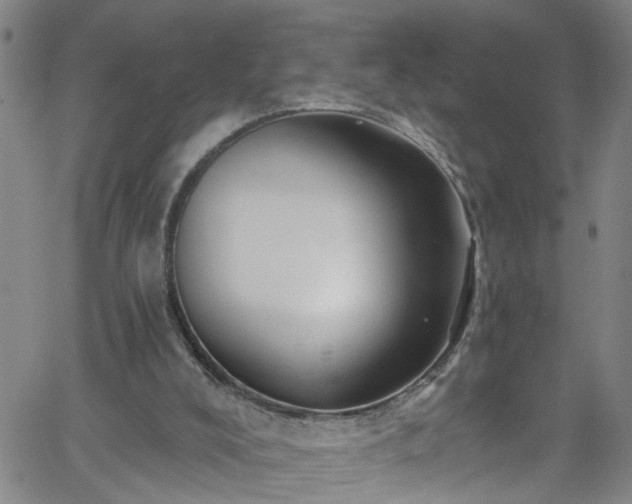 X0000058830008200510031359