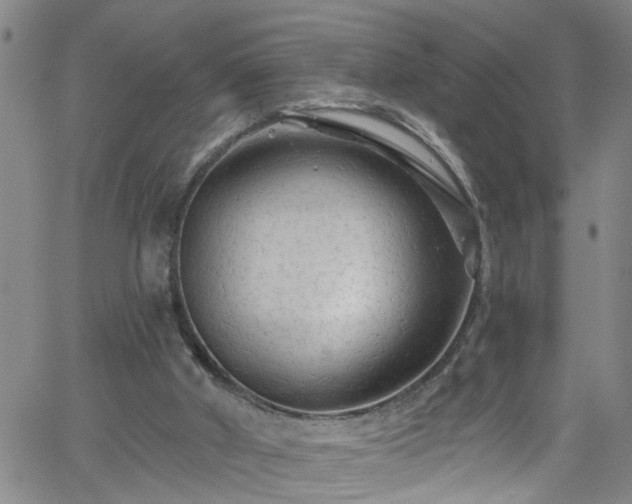 X0000058830010200510031358