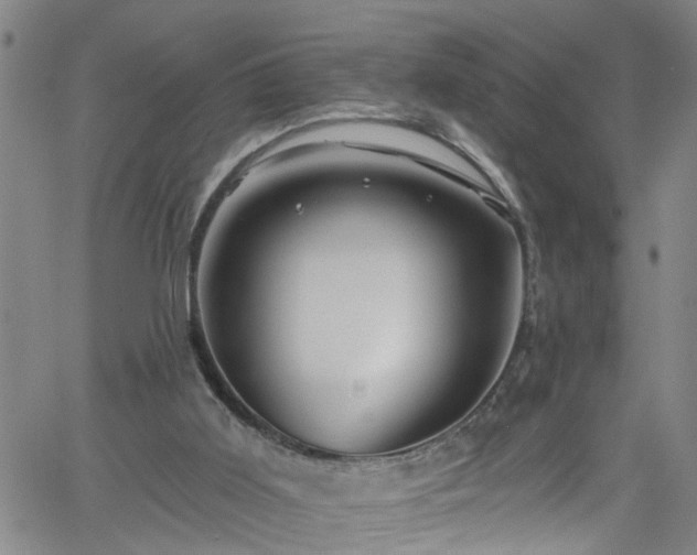 X0000058830011200510031358