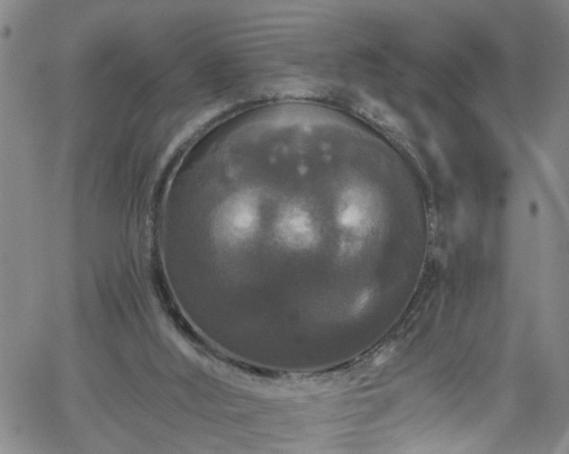 X0000058830012200510031358