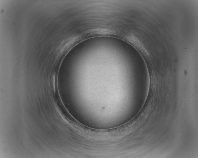 X0000058830014200510031358