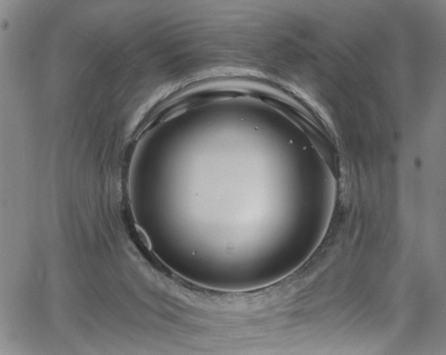 X0000058830015200510031358