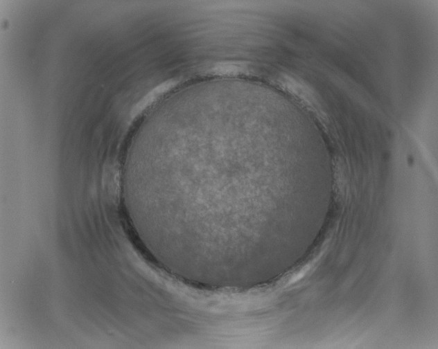 X0000058830016200510031358