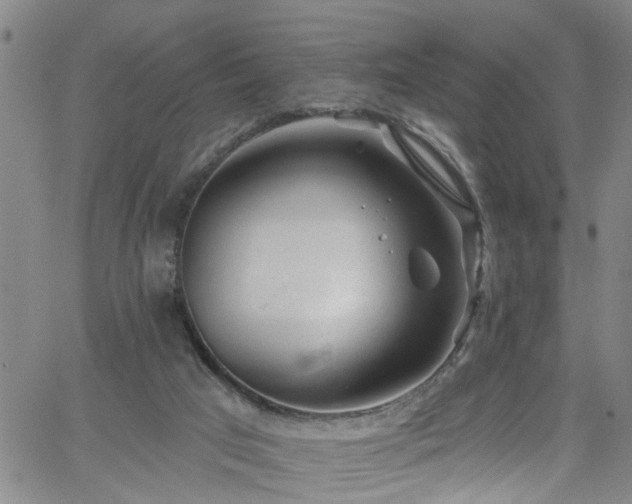 X0000058830017200510031358