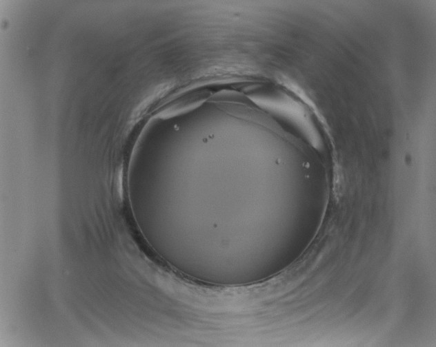 X0000058830019200510031358