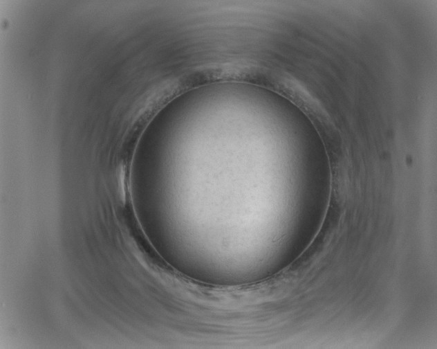 X0000058830022200510031358