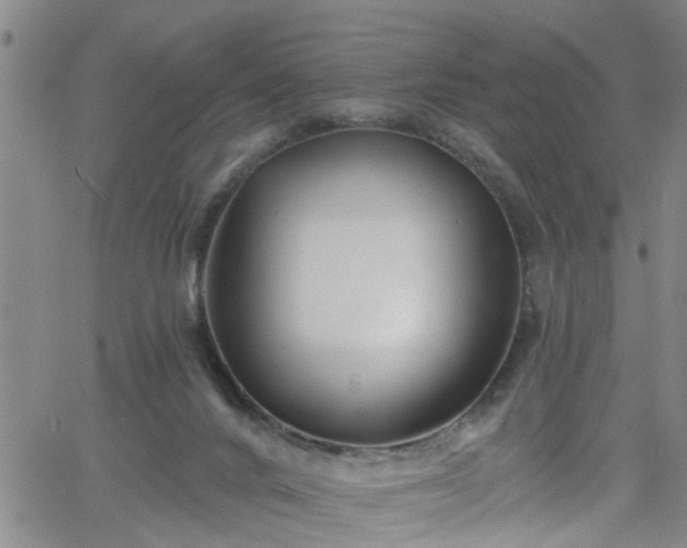 X0000058830024200510031358