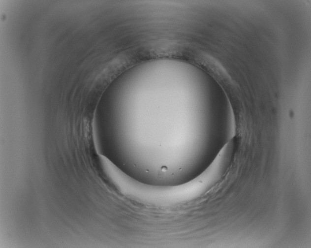 X0000058830025200510031358