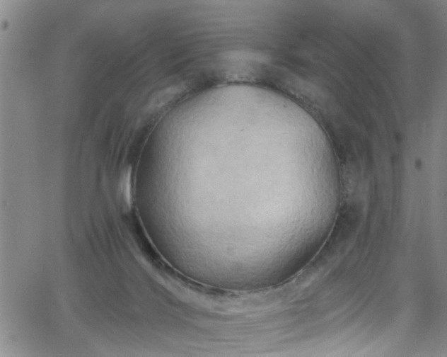 X0000058830028200510031358