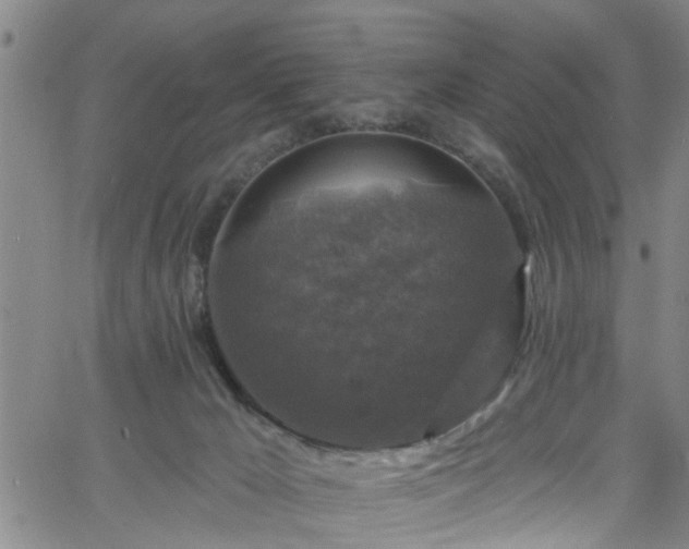 X0000058830029200510031358