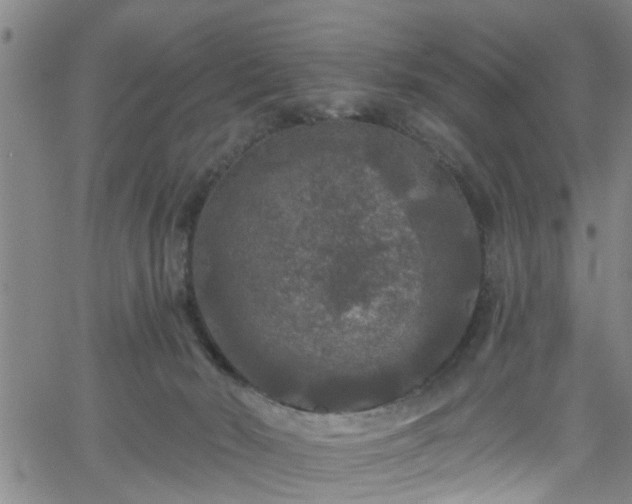 X0000058830030200510031358