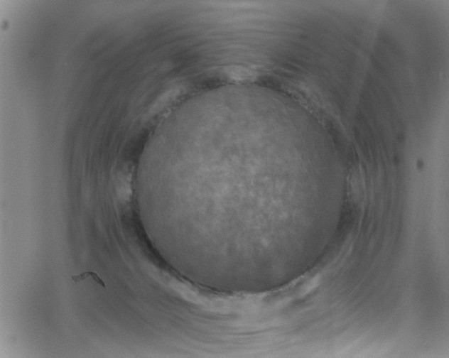 X0000058830032200510031358