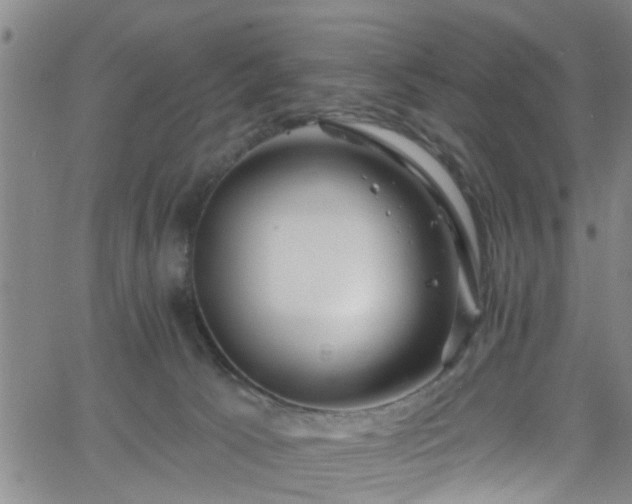 X0000058830033200510031358