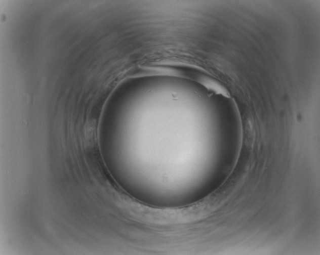 X0000058830034200510031358