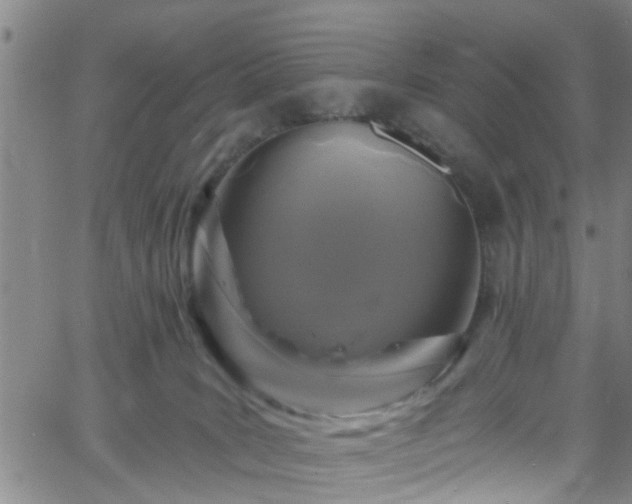 X0000058830035200510031358