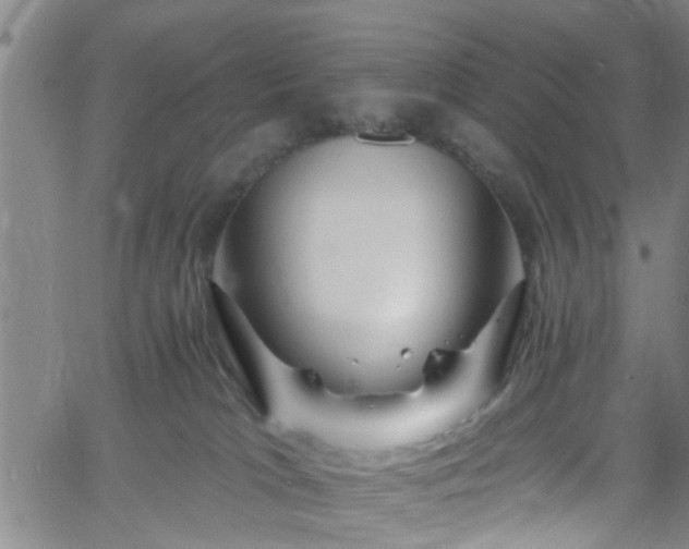 X0000058830037200510031358