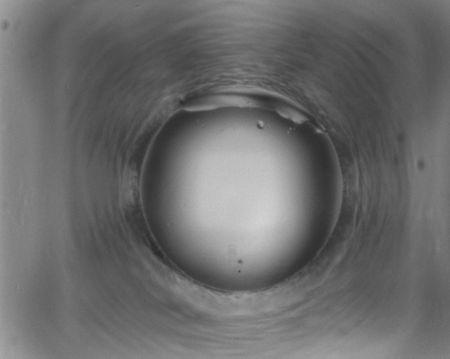 X0000058830038200510031358