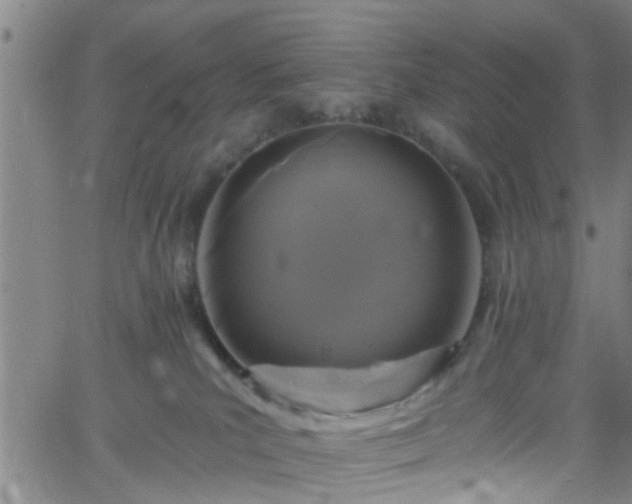 X0000058830039200510031358