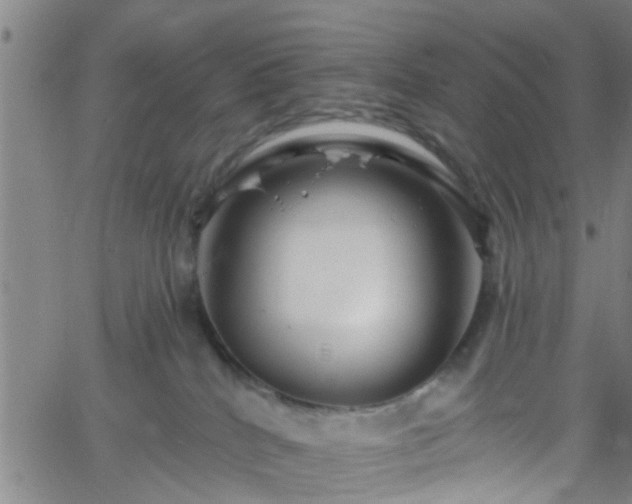 X0000058830040200510031358