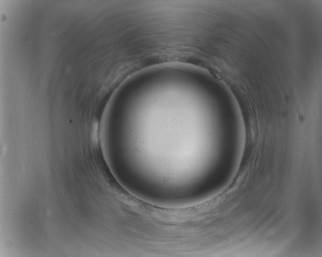 X0000058830041200510031358