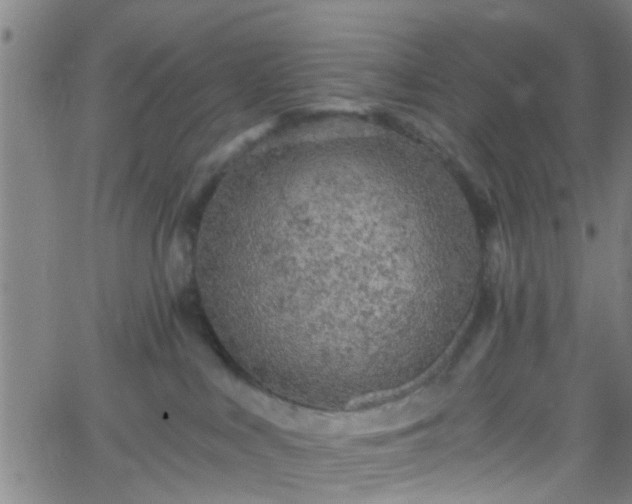 X0000058830043200510031358