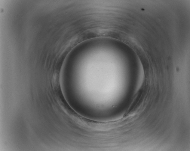 X0000058830044200510031358