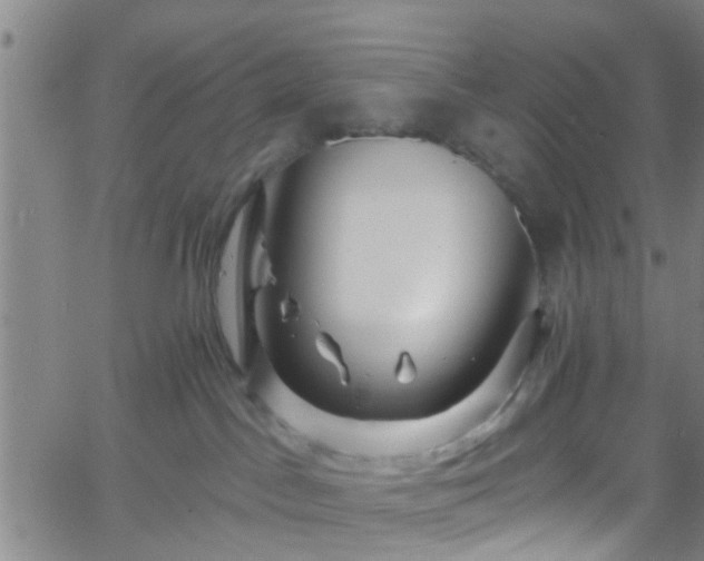 X0000058830045200510031358