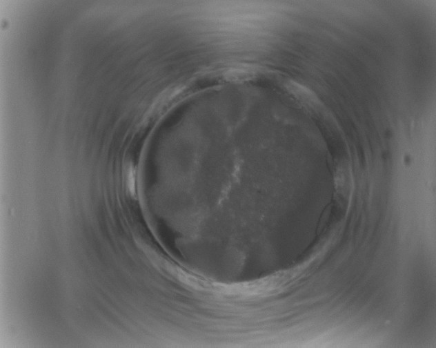 X0000058830046200510031358