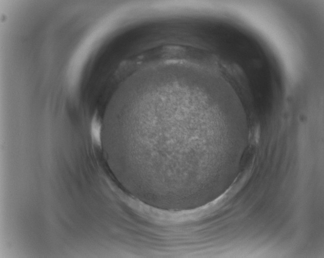 X0000058830047200510031358