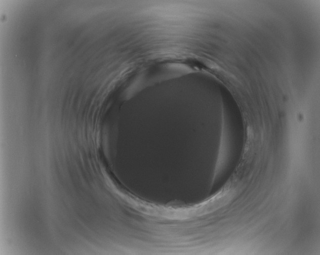 X0000058830048200510031358